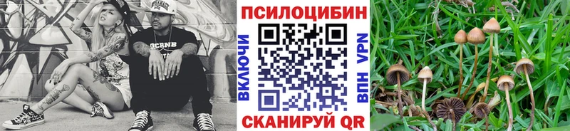 Псилоцибиновые грибы Cubensis  Купить закладки  Нефтекамск 